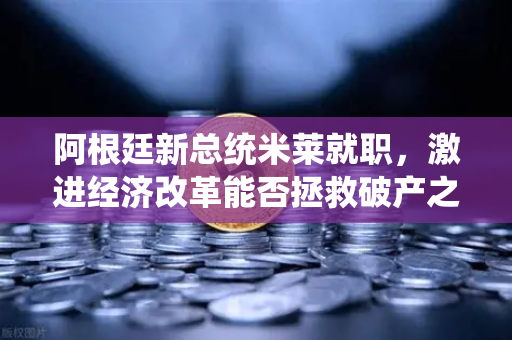阿根廷新总统米莱就职，激进经济改革能否拯救破产之国？