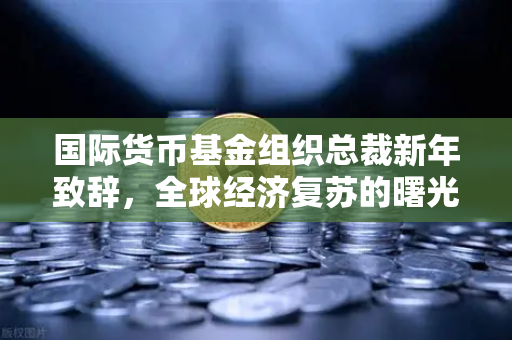 国际货币基金组织总裁新年致辞，全球经济复苏的曙光与挑战