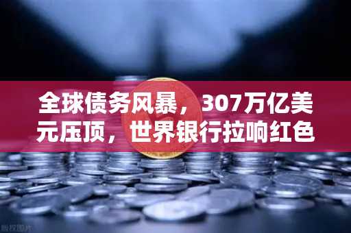 全球债务风暴，307万亿美元压顶，世界银行拉响红色警报！