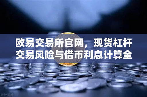 欧易交易所官网，现货杠杆交易风险与借币利息计算全解析