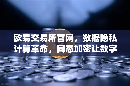 欧易交易所官网，数据隐私计算革命，同态加密让数字资产可用不可见