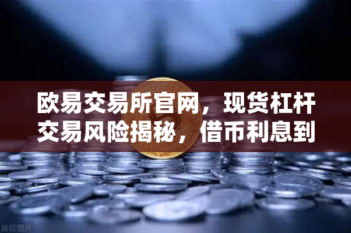 欧易交易所官网，现货杠杆交易风险揭秘，借币利息到底怎么算？