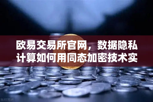 欧易交易所官网，数据隐私计算如何用同态加密技术实现可用不可见-第1张图片-欧易交易所