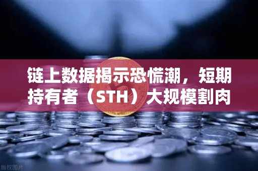 链上数据揭示恐慌潮，短期持有者（STH）大规模割肉离场，市场底在何方？