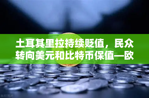 土耳其里拉持续贬值，民众转向美元和比特币保值—欧易交易所官网深度解析