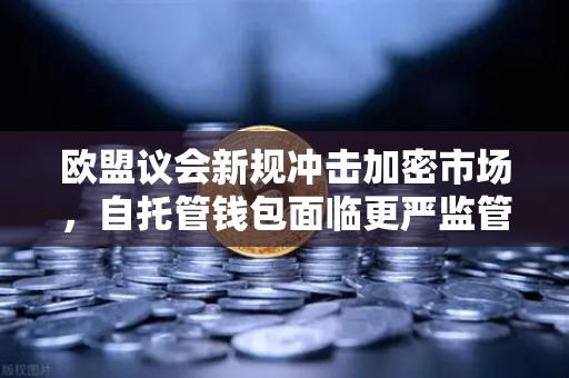 欧盟议会新规冲击加密市场，自托管钱包面临更严监管，用户如何应对？