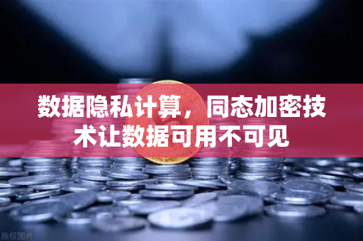 数据隐私计算，同态加密技术让数据可用不可见