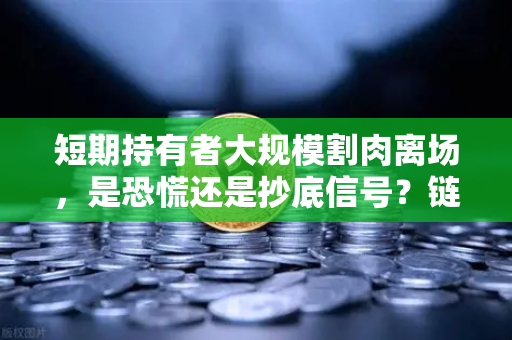 短期持有者大规模割肉离场，是恐慌还是抄底信号？链上数据深度解读-第1张图片-欧易交易所