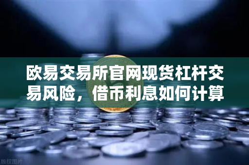 欧易交易所官网现货杠杆交易风险，借币利息如何计算？一文搞懂关键点
