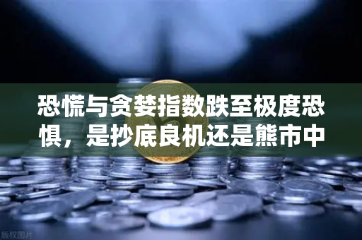 恐慌与贪婪指数跌至极度恐惧，是抄底良机还是熊市中继？