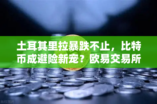 土耳其里拉暴跌不止，比特币成避险新宠？欧易交易所带你一探虚实-第1张图片-欧易交易所