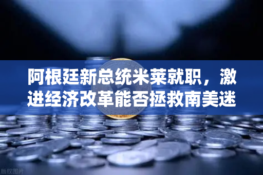 阿根廷新总统米莱就职，激进经济改革能否拯救南美迷途国度？