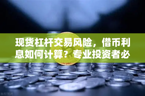 现货杠杆交易风险，借币利息如何计算？专业投资者必知的核心要点