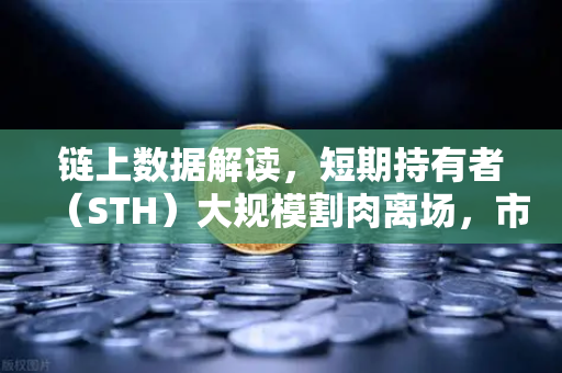 链上数据解读，短期持有者（STH）大规模割肉离场，市场见底信号已现？