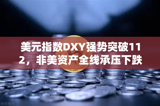 美元指数DXY强势突破112，非美资产全线承压下跌，投资者如何应对？