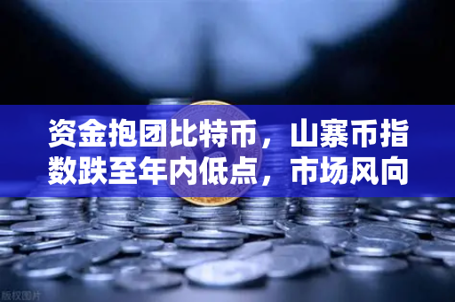 资金抱团比特币，山寨币指数跌至年内低点，市场风向真的变了吗？