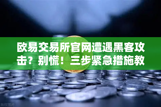 欧易交易所官网遭遇黑客攻击？别慌！三步紧急措施教你自救（附白帽救援指南）