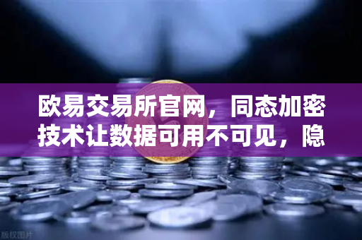 欧易交易所官网，同态加密技术让数据可用不可见，隐私计算新纪元-第1张图片-欧易交易所