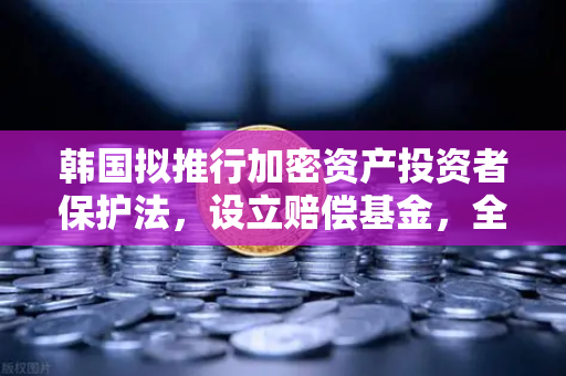 韩国拟推行加密资产投资者保护法，设立赔偿基金，全球监管风向标与投资者应对策略-第1张图片-欧易交易所