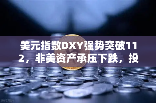 美元指数DXY强势突破112，非美资产承压下跌，投资者如何应对？-第1张图片-欧易交易所