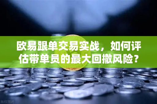 欧易跟单交易实战，如何评估带单员的最大回撤风险？-第1张图片-欧易交易所