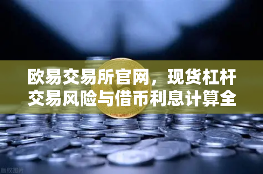 欧易交易所官网，现货杠杆交易风险与借币利息计算全攻略-第1张图片-欧易交易所