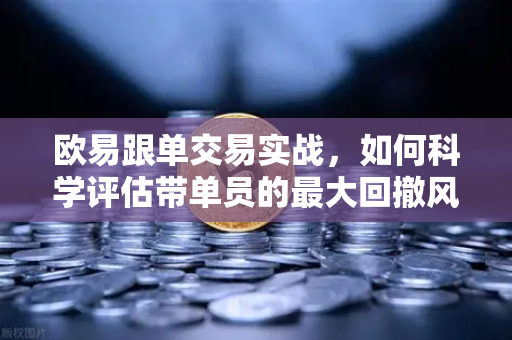 欧易跟单交易实战，如何科学评估带单员的最大回撤风险？-第1张图片-欧易交易所