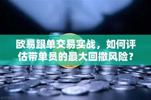 欧易跟单交易实战，如何评估带单员的最大回撤风险？附避险策略与实战技巧-第1张图片-欧易交易所