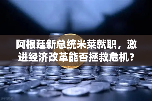 阿根廷新总统米莱就职，激进经济改革能否拯救危机？深度解析与欧易交易所视角-第1张图片-欧易交易所