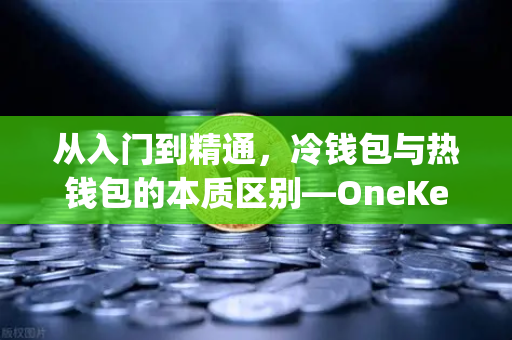 从入门到精通，冷钱包与热钱包的本质区别—OneKey硬件钱包深度评测