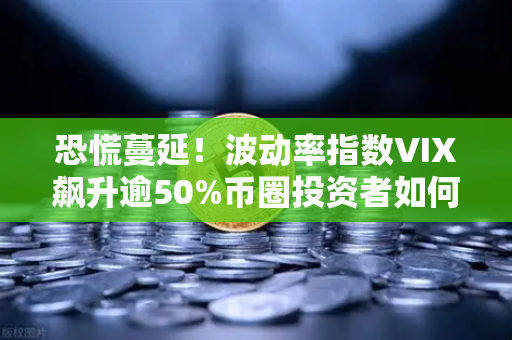 恐慌蔓延！波动率指数VIX飙升逾50%币圈投资者如何避险？