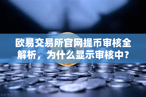 欧易交易所官网提币审核全解析,为什么显示审核中?人工审核要等多久?-第1张图片-欧易交易所 欧易交易所官网提币审核全解析,为什么显示审核中?人工审核要等多久?-第1张图片-欧易交易所