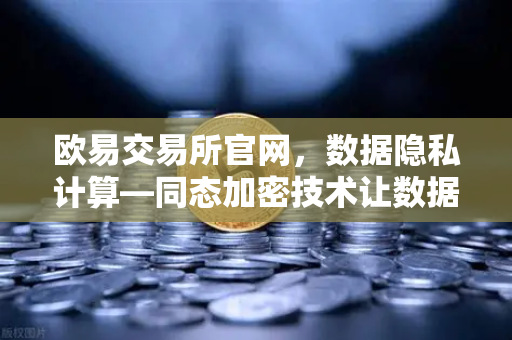 欧易交易所官网，数据隐私计算—同态加密技术让数据可用不可见