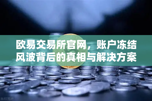 欧易交易所官网，账户冻结风波背后的真相与解决方案