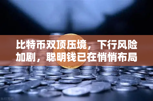 比特币双顶压境，下行风险加剧，聪明钱已在悄悄布局？
