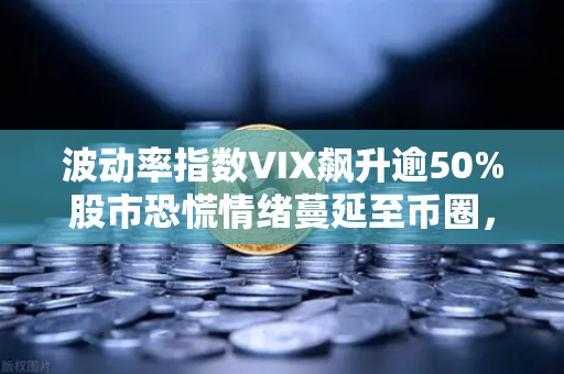 波动率指数VIX飙升逾50%股市恐慌情绪蔓延至币圈，加密市场何去何从？