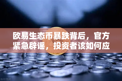 欧易生态币暴跌背后，官方紧急辟谣，投资者该如何应对？